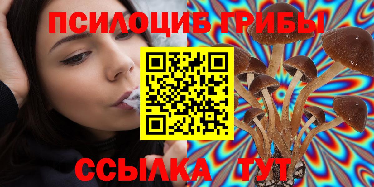 Псилоцибиновые грибы мицелий  Вход с VPN  Ликино-Дулёво 